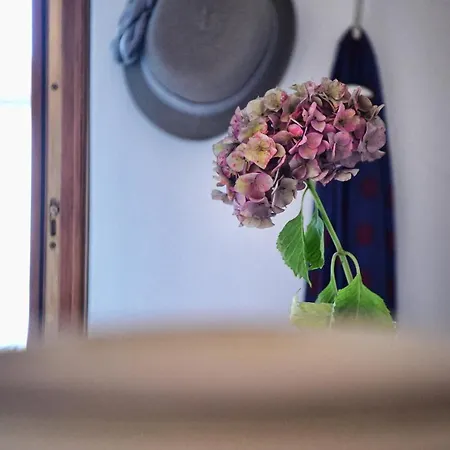 Apartment Easy Welcome Casa Anna *